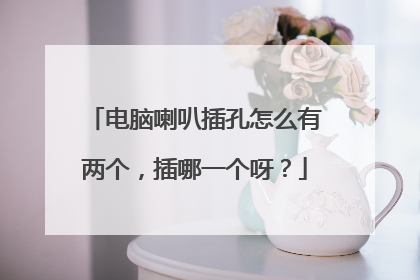 电脑喇叭插孔怎么有两个，插哪一个呀？