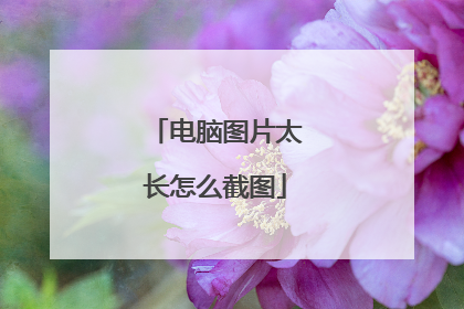 电脑图片太长怎么截图