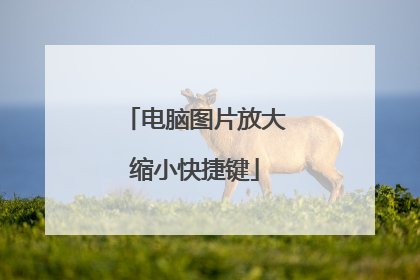 电脑图片放大缩小快捷键