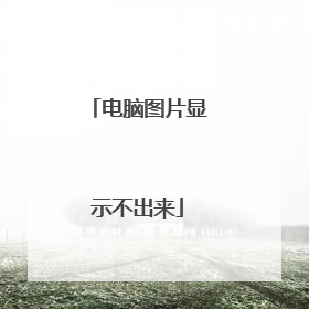 电脑图片显示不出来