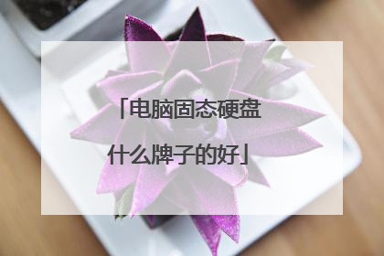 电脑固态硬盘什么牌子的好