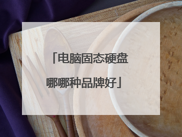 电脑固态硬盘哪哪种品牌好