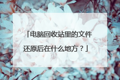 电脑回收站里的文件还原后在什么地方？