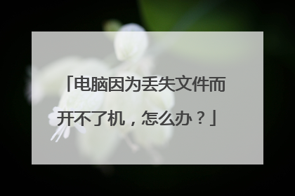 电脑因为丢失文件而开不了机,怎么办?