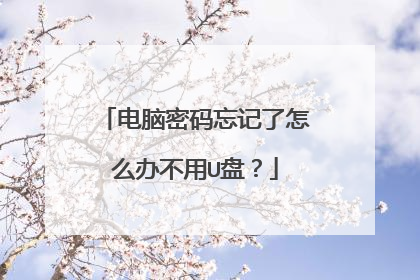 电脑密码忘记了怎么办不用U盘?