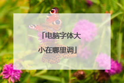 电脑字体大小在哪里调