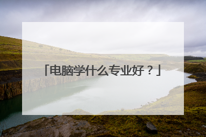 电脑学什么专业好?