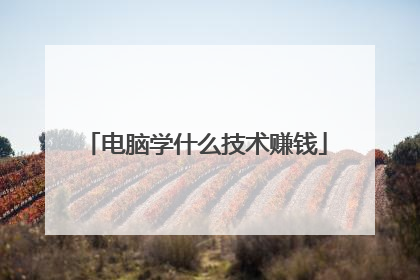电脑学什么技术赚钱
