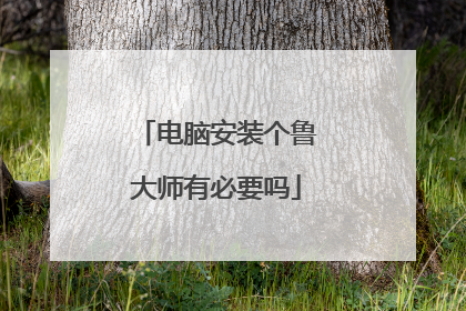 电脑安装个鲁大师有必要吗