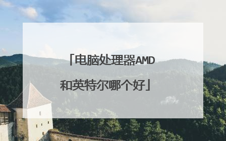 电脑处理器AMD和英特尔哪个好