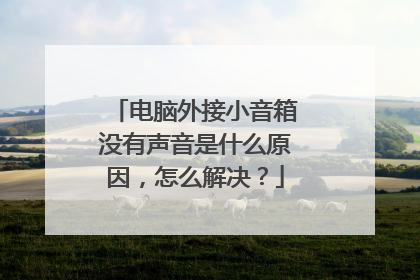 电脑外接小音箱没有声音是什么原因，怎么解决？