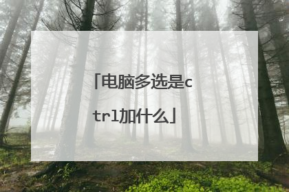 电脑多选是ctrl加什么