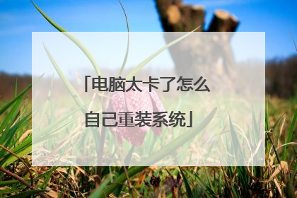 电脑太卡了怎么自己重装系统