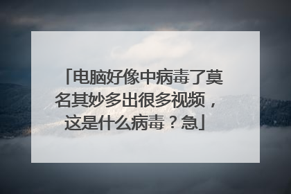 电脑好像中病毒了莫名其妙多出很多视频,这是什么病毒?急