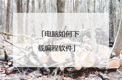 电脑如何下载编程软件