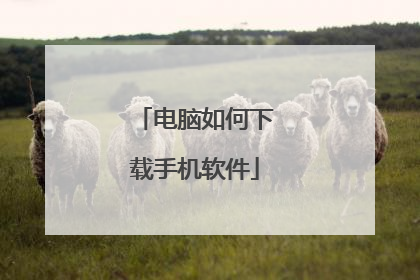 电脑如何下载手机软件