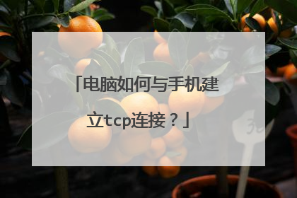 电脑如何与手机建立tcp连接？