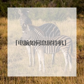 电脑如何息屏待机