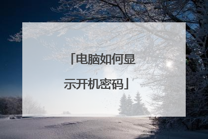 电脑如何显示开机密码