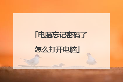 电脑忘记密码了怎么打开电脑
