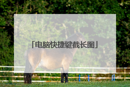 电脑快捷键截长图