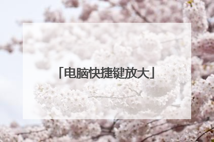 电脑快捷键放大