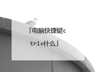 电脑快捷键ctrl+什么