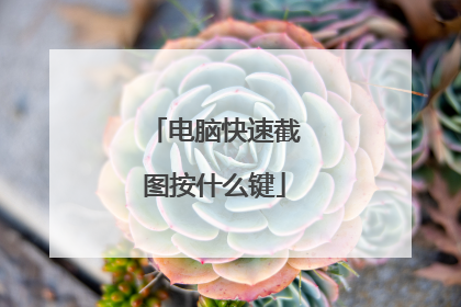 电脑快速截图按什么键