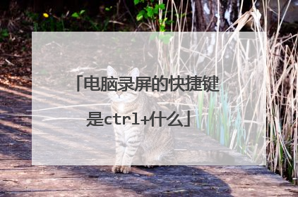 电脑录屏的快捷键是ctrl+什么