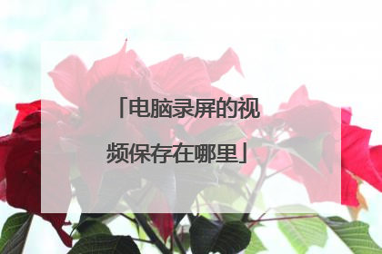 电脑录屏的视频保存在哪里