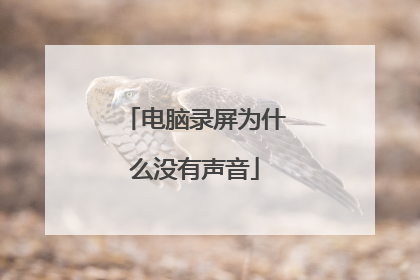 电脑录屏为什么没有声音
