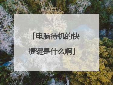电脑待机的快捷键是什么啊