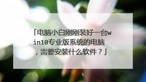 电脑小白刚刚装好一台win10专业版系统的电脑,需要安装什么软件?