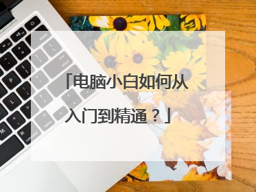 电脑小白如何从入门到精通？