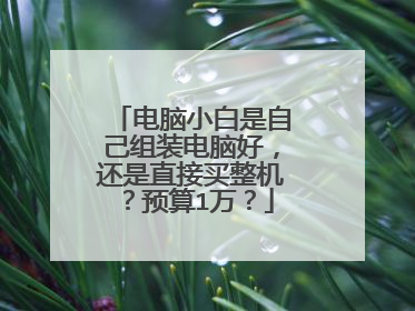 电脑小白是自己组装电脑好,还是直接买整机?预算1万?
