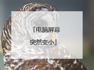 电脑屏幕突然变小