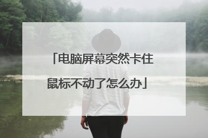 电脑屏幕突然卡住鼠标不动了怎么办