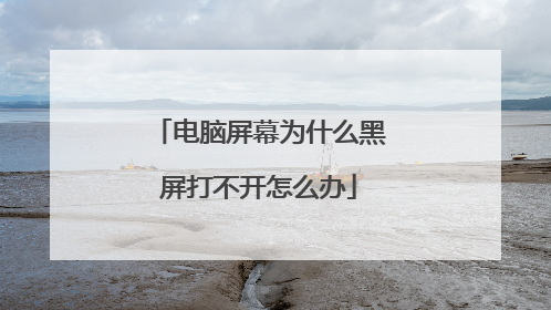 电脑屏幕为什么黑屏打不开怎么办