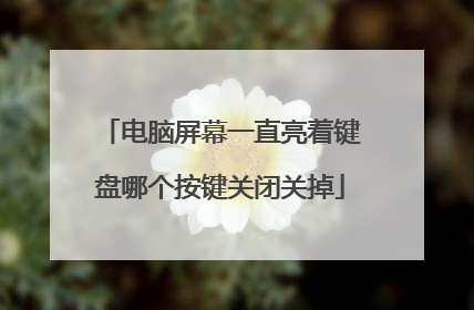 电脑屏幕一直亮着键盘哪个按键关闭关掉
