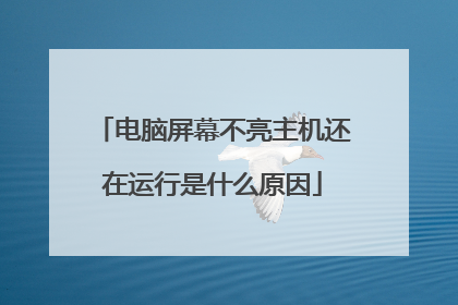 电脑屏幕不亮主机还在运行是什么原因