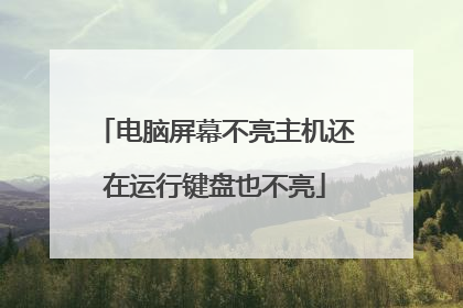 电脑屏幕不亮主机还在运行键盘也不亮