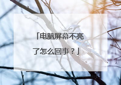 电脑屏幕不亮了怎么回事?
