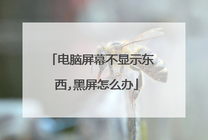 电脑屏幕不显示东西,黑屏怎么办