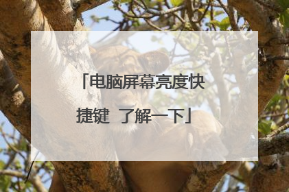 电脑屏幕亮度快捷键 了解一下