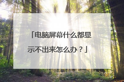 电脑屏幕什么都显示不出来怎么办?