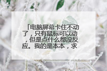 电脑屏幕卡住不动了,只有鼠标可以动,但是点什么都没反应。我的是本本,求各位大侠帮忙!