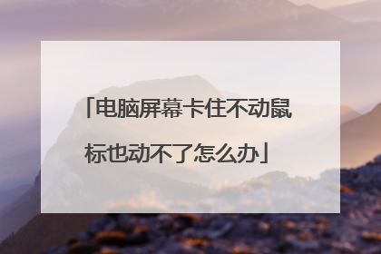 电脑屏幕卡住不动鼠标也动不了怎么办