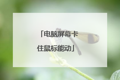 电脑屏幕卡住鼠标能动