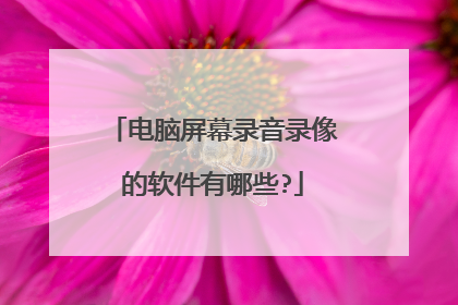 电脑屏幕录音录像的软件有哪些?