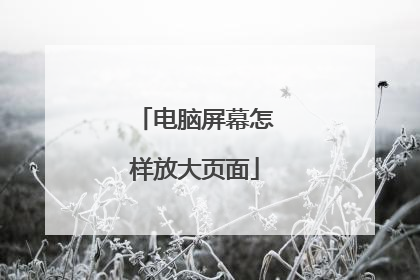 电脑屏幕怎样放大页面